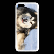 Coque iPhone 5C Chien d'Alaska