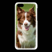 Coque iPhone 5C Chien Colley marron et blanc