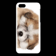 Coque iPhone 5C Chiot chien loup 5