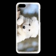 Coque iPhone 5C Chiot berger blanc suisse