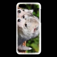 Coque iPhone 5C Chiot Husky de Sibérie 3