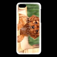 Coque iPhone 5C Chiot King Charles 2