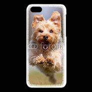 Coque iPhone 5C Yorkshire terrier 6