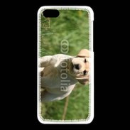 Coque iPhone 5C Mignon petit labrador