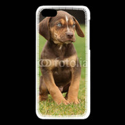 Coque iPhone 5C Chiot marron 2