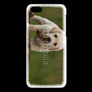 Coque iPhone 5C Chiot labrador avec pomme de pin