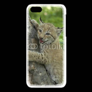 Coque iPhone 5C Bébé Lynx