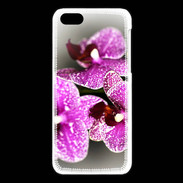 Coque iPhone 5C Belle Orchidée PR