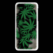 Coque iPhone 5C Feuilles de cannabis 50