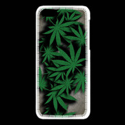 Coque iPhone 5C Feuilles de cannabis 50
