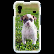 Coque Samsung ACE S5830 Chiot American Staffordshire terrier 