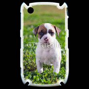 Coque Blackberry 8520 Chiot American Staffordshire terrier 