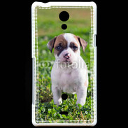 Coque Sony Xperia T Chiot American Staffordshire terrier 