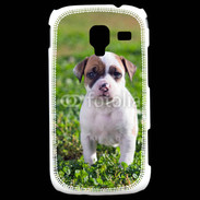 Coque Samsung Galaxy Ace 2 Chiot American Staffordshire terrier 