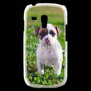 Coque Samsung Galaxy S3 Mini Chiot American Staffordshire terrier 
