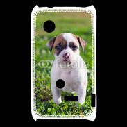 Coque Sony Xperia Typo Chiot American Staffordshire terrier 