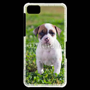 Coque Blackberry Z10 Chiot American Staffordshire terrier 
