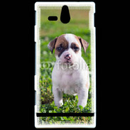 Coque Sony Xperia U Chiot American Staffordshire terrier 