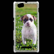 Coque Sony Xperia M Chiot American Staffordshire terrier 