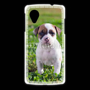Coque LG Nexus 5 Chiot American Staffordshire terrier 