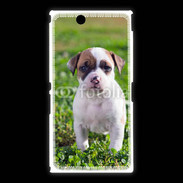 Coque Sony Xpéria Z Ultra Chiot American Staffordshire terrier 