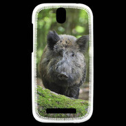 Coque HTC One SV Sanglier dans les bois