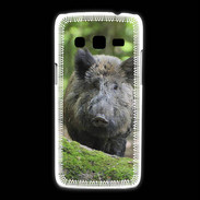 Coque Samsung Galaxy Express2 Sanglier dans les bois