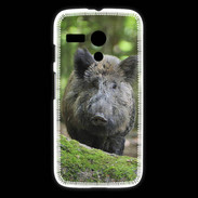 Coque Motorola G Sanglier dans les bois