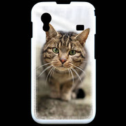 Coque Samsung ACE S5830 Portrait de chat PR