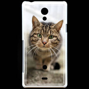 Coque Sony Xperia T Portrait de chat PR