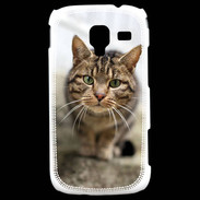 Coque Samsung Galaxy Ace 2 Portrait de chat PR