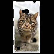 Coque Nokia Lumia 720 Portrait de chat PR