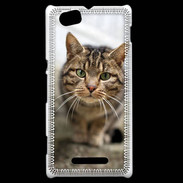 Coque Sony Xperia M Portrait de chat PR