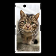 Coque Sony Xpéria Z Ultra Portrait de chat PR