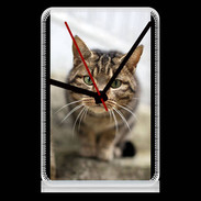 Pendule de bureau Portrait de chat PR