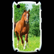 Coque Blackberry 8520 Cheval arabe robe marron et blanche