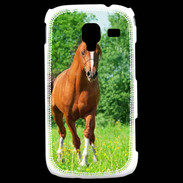 Coque Samsung Galaxy Ace 2 Cheval arabe robe marron et blanche
