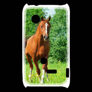 Coque Sony Xperia Typo Cheval arabe robe marron et blanche