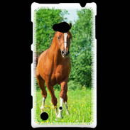 Coque Nokia Lumia 720 Cheval arabe robe marron et blanche