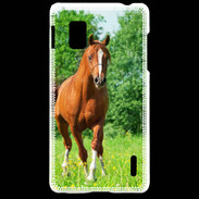 Coque LG Optimus G Cheval arabe robe marron et blanche
