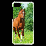 Coque Blackberry Z10 Cheval arabe robe marron et blanche
