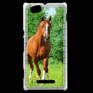 Coque Sony Xperia M Cheval arabe robe marron et blanche