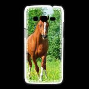 Coque Samsung Galaxy Express2 Cheval arabe robe marron et blanche