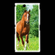 Coque Sony Xpéria Z Ultra Cheval arabe robe marron et blanche