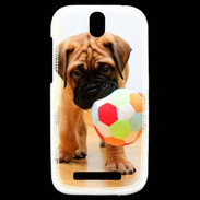 Coque HTC One SV Bull mastiff chiot