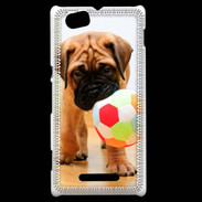 Coque Sony Xperia M Bull mastiff chiot