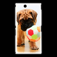 Coque Sony Xpéria Z Ultra Bull mastiff chiot