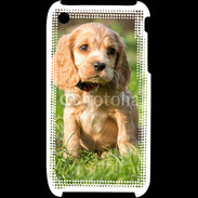 Coque iPhone 3G / 3GS Chiot cocker Spaniel