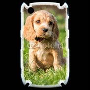 Coque Blackberry 8520 Chiot cocker Spaniel