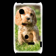 Coque Sony Xperia Typo Chiot cocker Spaniel